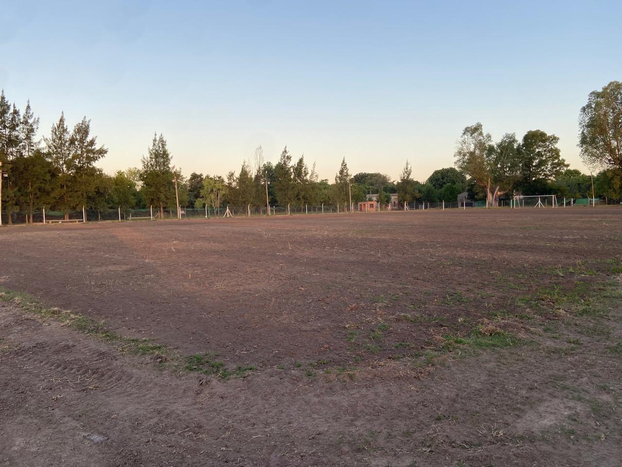 UFCcanchasnuevas1