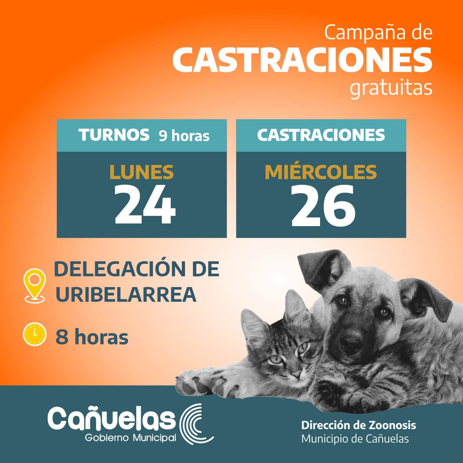 campaña de castración